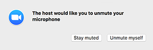 The Host Would Like You To Unmute Zoom / How to Mute and Unmute in Zoom