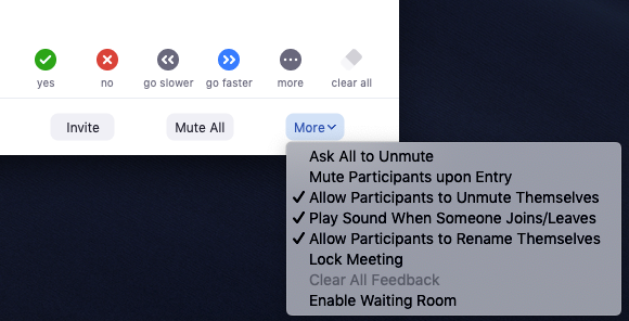 how to unmute myself on a zoom call