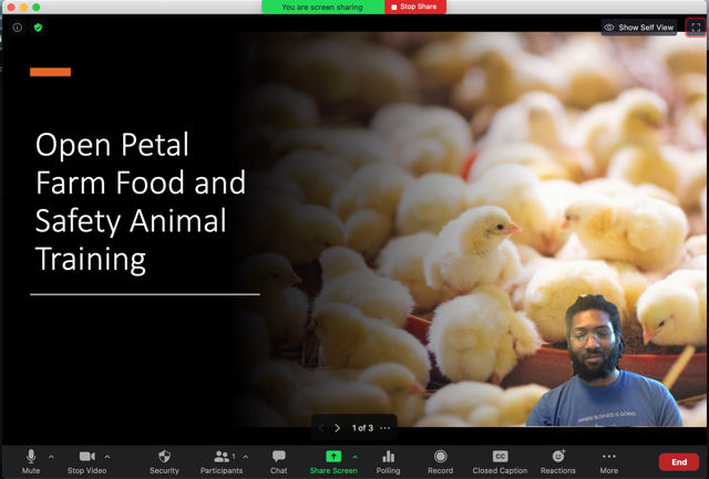 how to add video to powerpoint on android phone