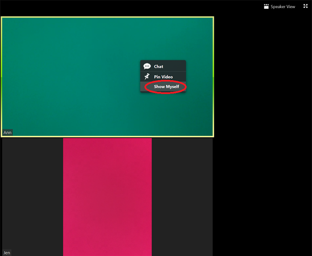 How to Change the Video Layout Zoom Guides