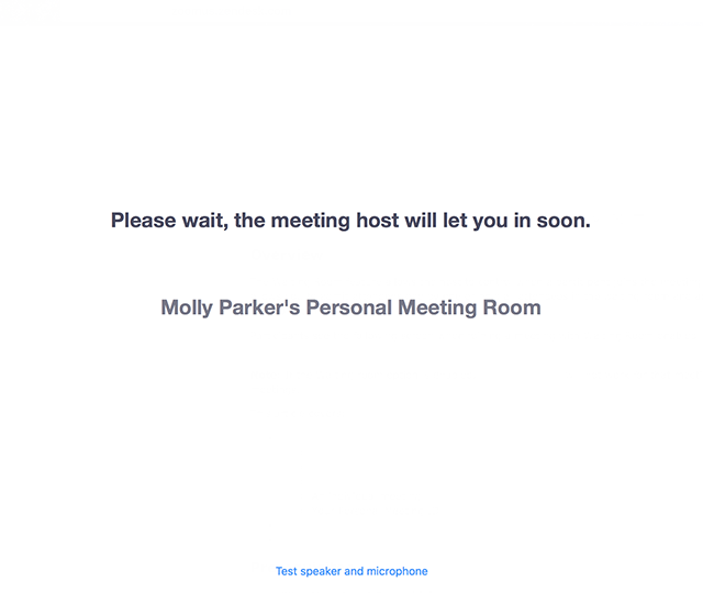 Using Waiting Room   Meeting Host Will Let You In Soon 