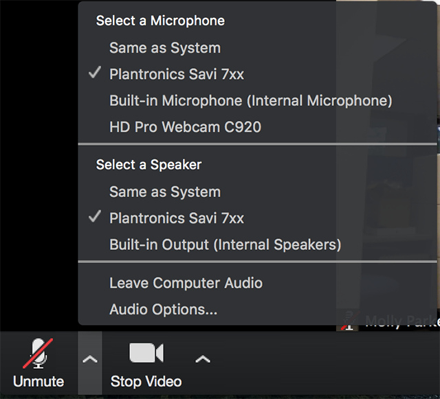 how to do zoom test call