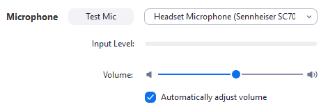 test zoom mic