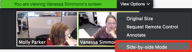 side mode screen zoom sharing options shared meeting while start jmw