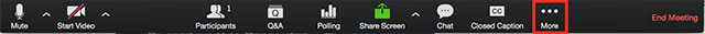Screenshot of the Zoom meeting controls.  The "More" option is highlighted.