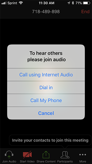 Audio settings for iOS - Zoom Help Center